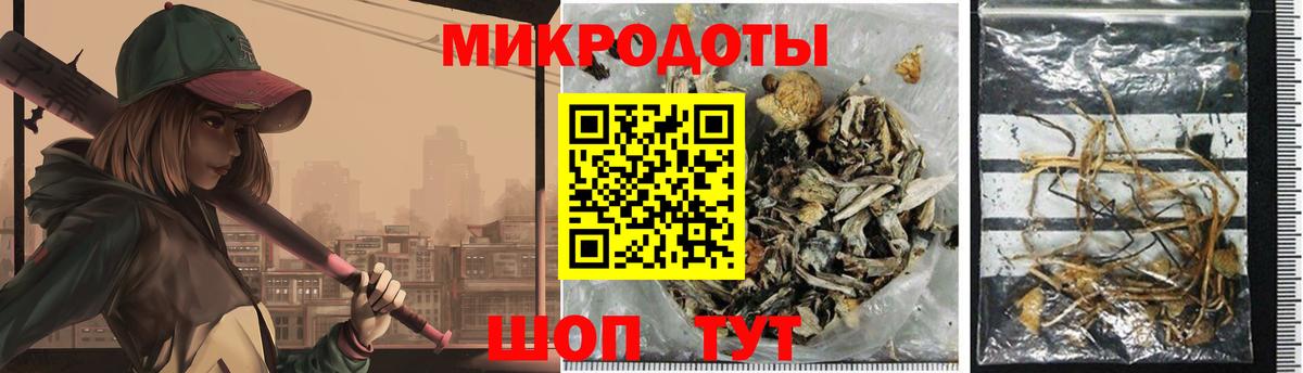 Кольчугино  Псилоцибиновые грибы MAGIC MUSHROOMS  Вход с VPN 